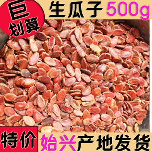生红瓜子500g广东韶关西瓜子原江西粒赣州南中粒小粒包邮始兴发