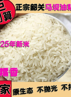 广东韶关正宗马坝油粘米新米象牙米丝苗软香美香粘不抛光农家大米