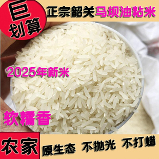 广东韶关正宗马坝油粘米新米象牙米丝苗软香美香粘不抛光农家大米