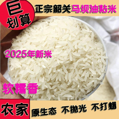 广东韶关正宗马坝油粘米新米象牙