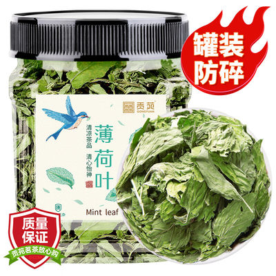 贡苑 花草茶 薄荷叶茶40g/罐 清凉养生三清茶新鲜干薄荷可食用泡