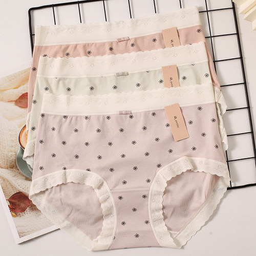 小兰裙Y807秋冬新品女士内裤