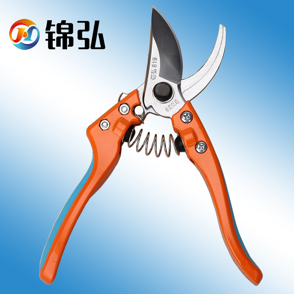 台湾修枝剪进口园林园艺剪刀家用花剪日本钢专业修剪树枝果树剪刀,鲜花速递/花卉仿真/绿植园艺,剪刀,淘宝优惠券,粉丝福利购,淘宝优惠卷