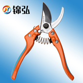 台湾修枝剪进口园林园艺剪刀家用花剪日本钢专业修剪树枝果树剪刀