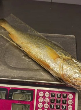 小黄鱼打包装袋opp厚款平口袋13*45cm敞口高清透明塑料袋12*36cm