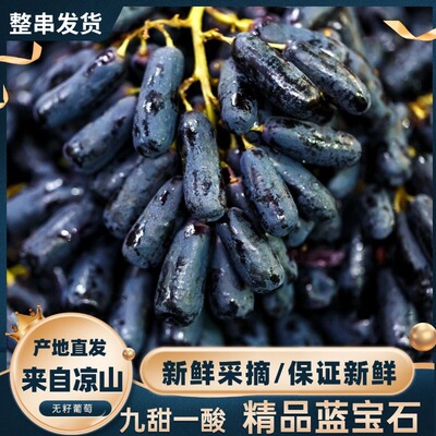 新鲜带箱美人指包邮蓝宝石葡萄