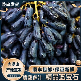 顺丰包邮大凉山蓝宝石葡萄新鲜水果金手指美人指整串无籽提子孕妇