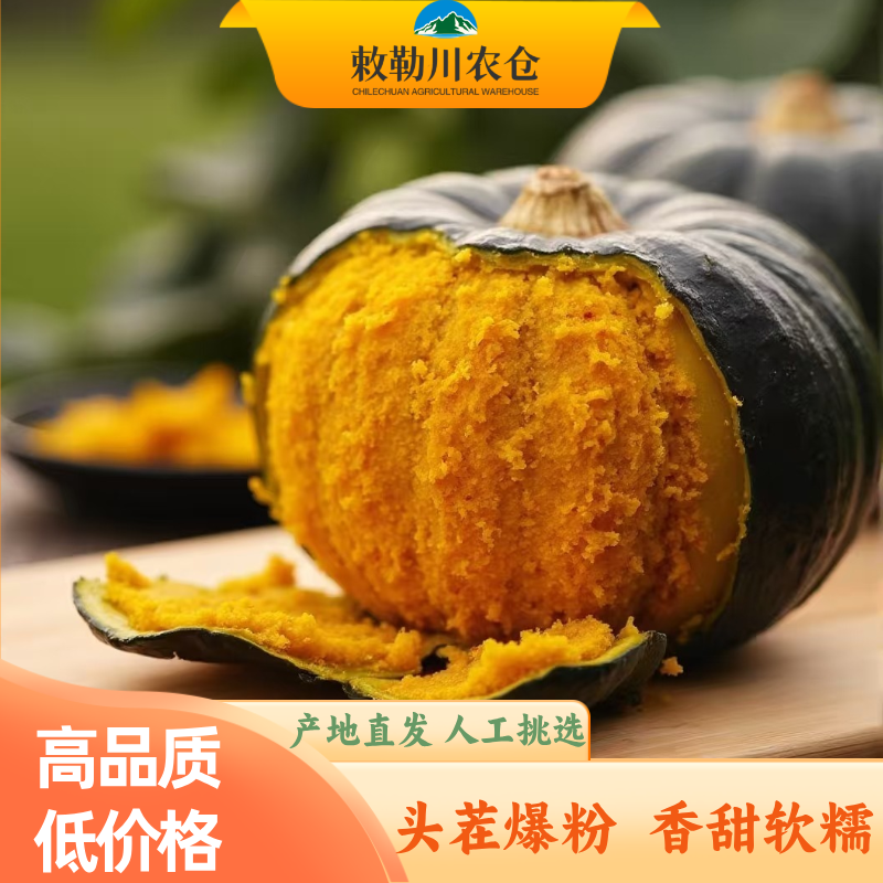 【产地直发】内蒙古沙地贝贝南瓜
