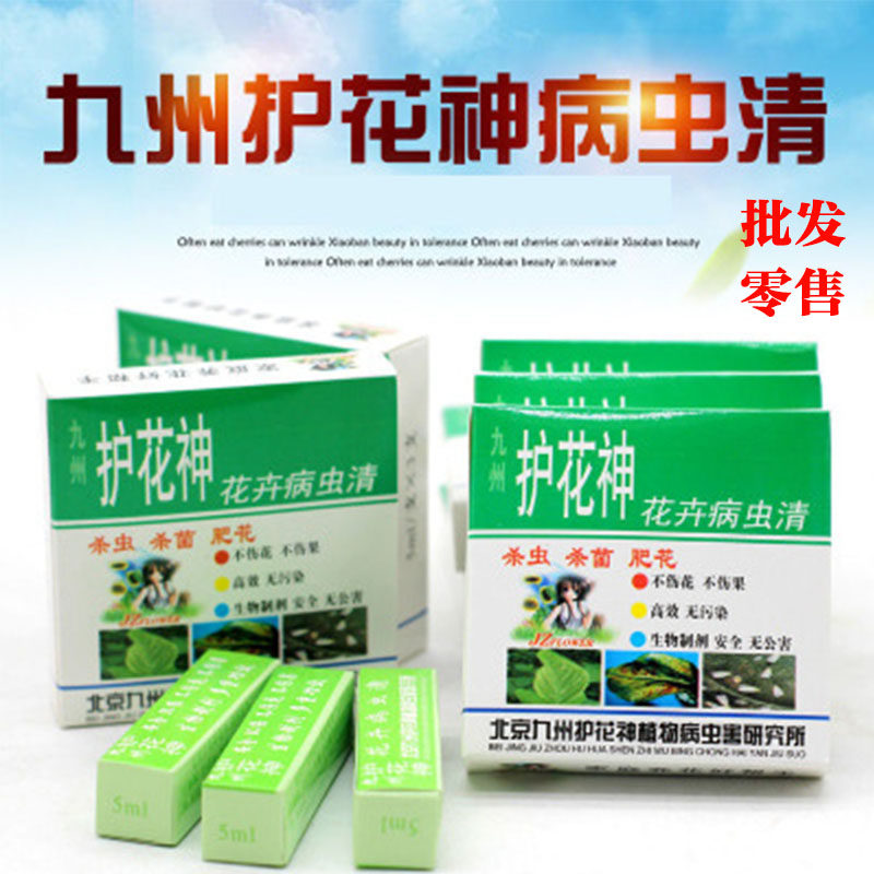北京九州护花神花卉多肉植物开花植物绿叶植物家庭通用多肉无公害 方珠园艺 淘优券