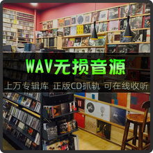 车载无损音源 hifi发烧人声dsd高品质CD抓轨母带 wav无损音乐下载