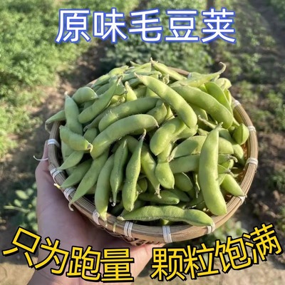 速冻毛豆角商用生毛豆荚