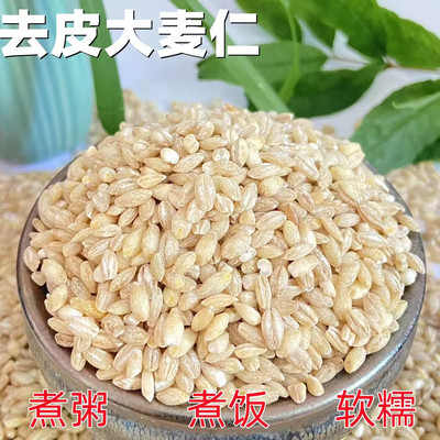 新货麦仁米农家新鲜5斤大麦仁煮粥去皮麦仁大麦米八宝粥原料杂粮