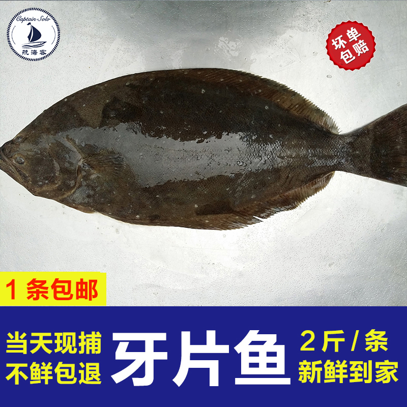 海鱼新鲜鸦片鱼2斤鲜活水产海鲜野生鱼活体冷冻牙片鱼鱼头深海鱼