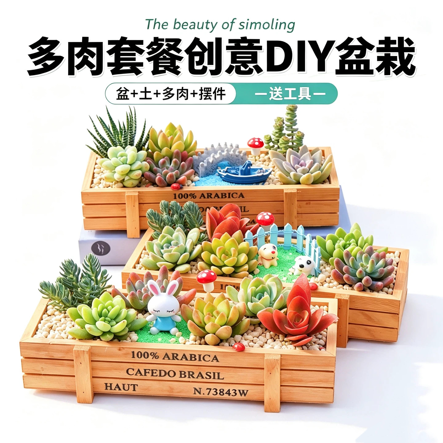 多肉植物组合盆栽含花盆含土桌面绿植花卉室内三八节肉肉DIY套餐