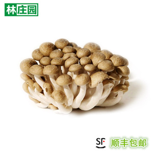 林庄园蟹味菇150g/盒 新鲜菌类时鲜菌烧汤鲜美任选5件顺丰包邮