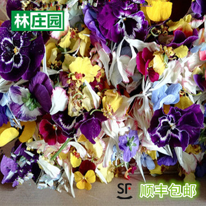 林庄园新 食用鲜花西餐装饰摆盘多种花类混合盒装5盒包邮