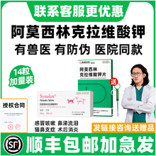 阿莫西林克拉维酸钾片猫宠物狗狗感冒药鼻支喷嚏流涕速猫诺消炎片
