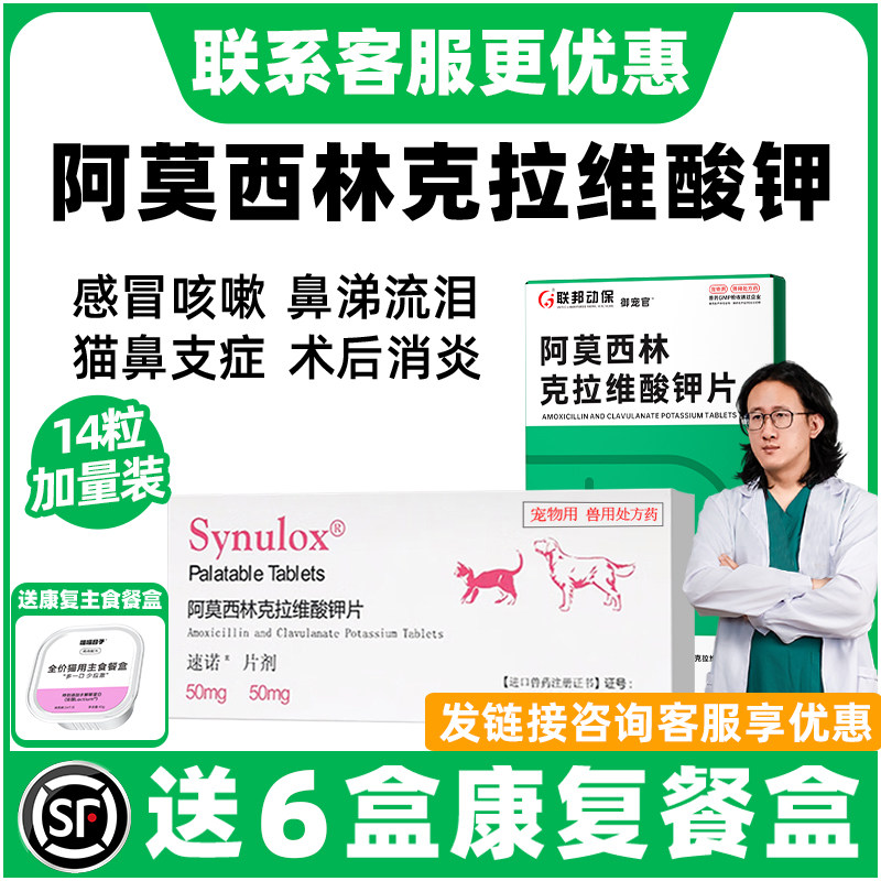 阿莫西林克拉维酸钾片猫宠物狗狗感冒药鼻支喷嚏流涕猫鼻支消炎片,宠物/宠物食品及用品,猫呼吸道疾病药品,淘宝优惠券,粉丝福利购,淘宝优惠卷