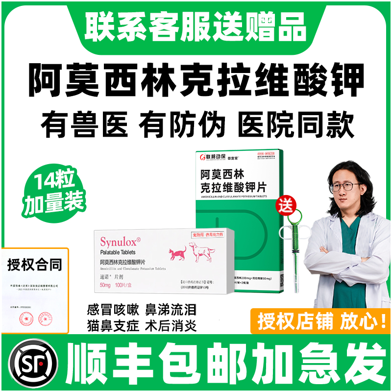 顺丰上门|阿莫西林克拉维酸钾猫