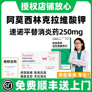 速诺消炎片250mg狗狗消炎药阿莫西林克拉维酸钾片猫宠物皮肤泌尿