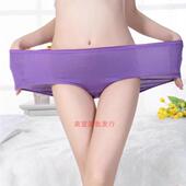 高腰偏大胖人胖MM柔软女士三角内裤 正品 灿烂9066莫代尔加大加肥款