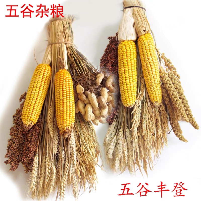 干玉米棒农作物装饰农家乐挂件辣椒串五谷杂粮摆件丰收节五谷丰登