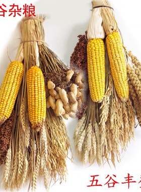 干玉米棒农作物装饰农家乐挂件辣椒串五谷杂粮摆件丰收节五谷丰登