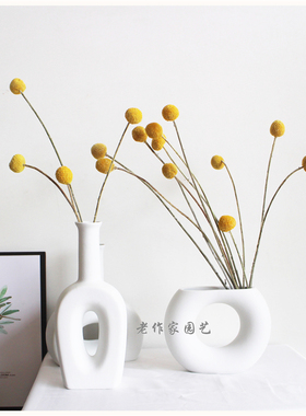 云南天然黄金球干花永生拍摄道具