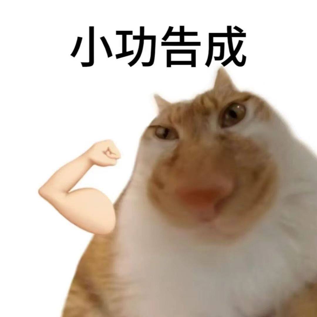 仅店铺会员拍 6月韩系彩妆 货损大杂烩 发货后不退不换