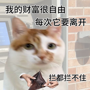 仅店铺会员拍 7月韩系单色眼影货损大杂烩 发货后不退不换