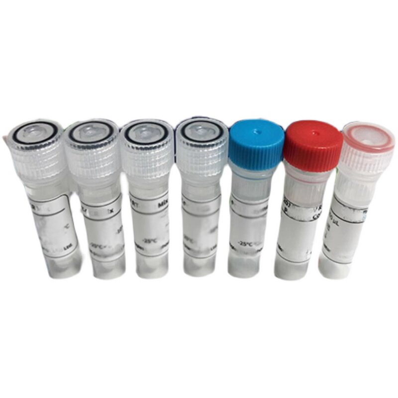 血磷浓度检测试剂盒（微量法） 科研用品