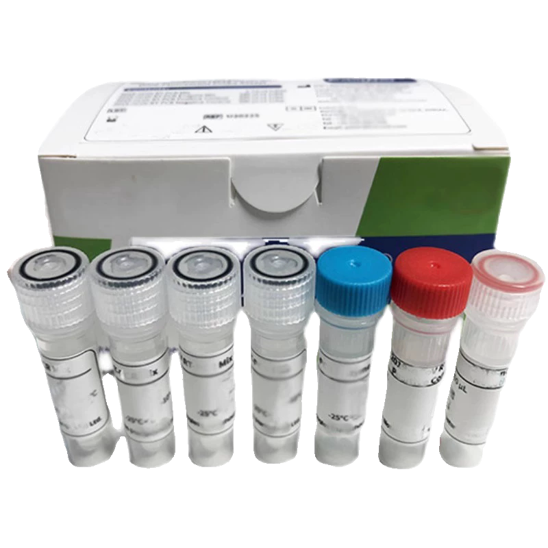 人（Human）凝血因子Ⅷ（FⅧ）ELISA检测试剂盒