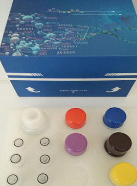 可溶性白细胞分化抗原14(sCD14) ELISA检测试剂盒 定制