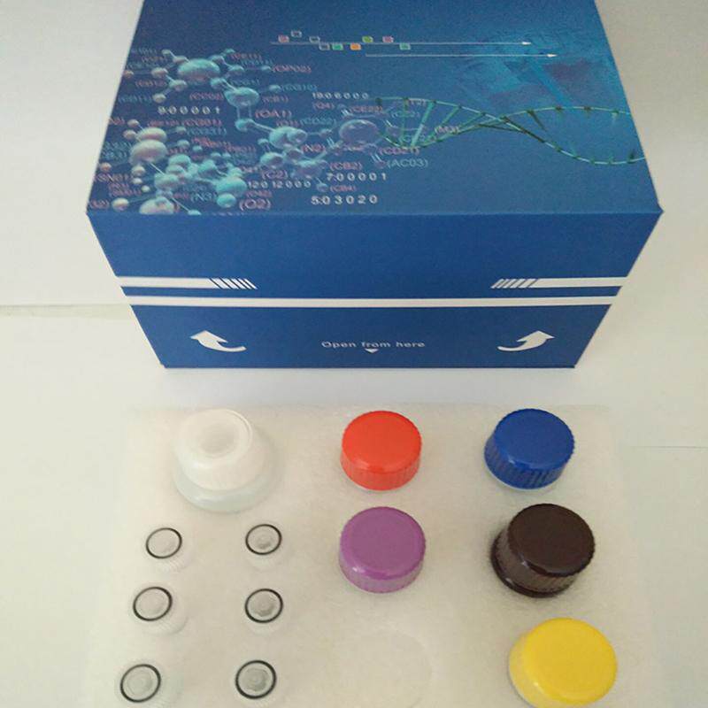 小鼠（Mouse）多巴胺D1受体（D1R）ELISA检测试剂盒