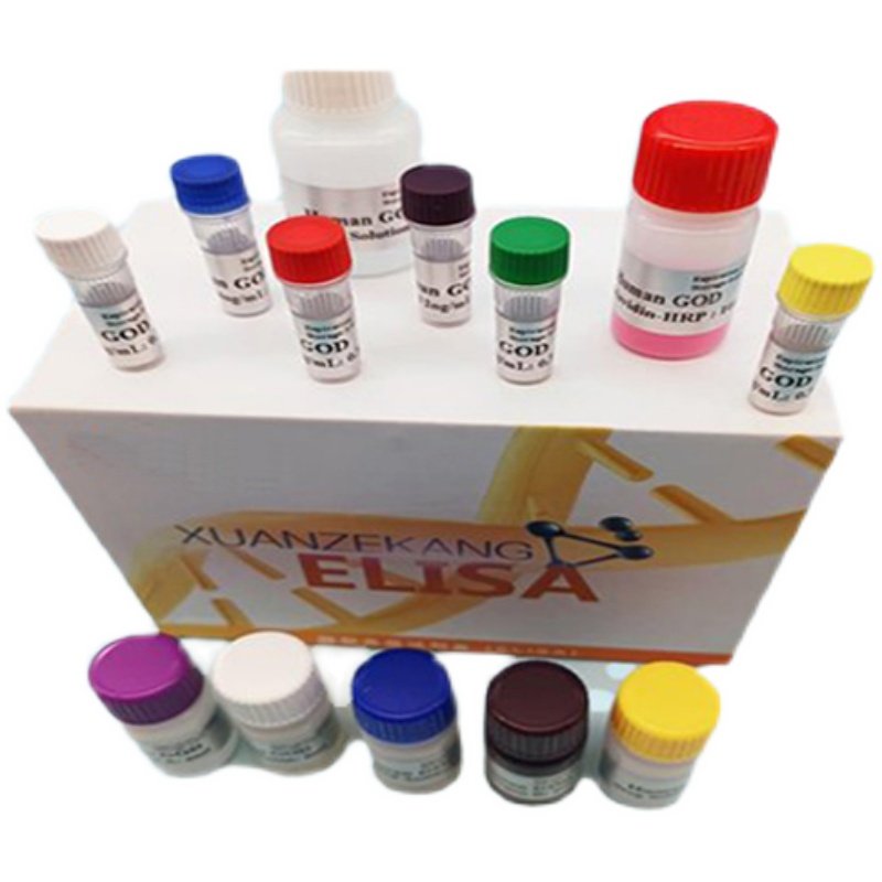 大鼠原代单核细胞   Rat Monocyte Cells   科研用品