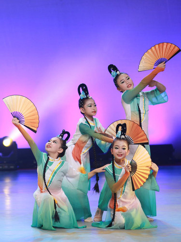 中国风民族醉春风扇子舞蹈演出服