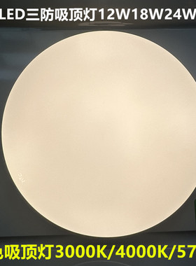 雷士LED过道灯阳台灯IP40防蚊防尘玉盘吸顶灯12W18W24W36W黄光暖