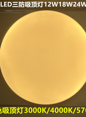 雷士LED过道灯阳台灯IP40防蚊防尘玉盘吸顶灯12W18W24W36W黄光暖