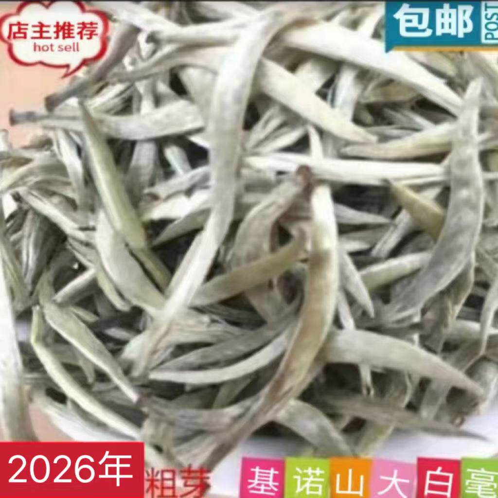 云南普洱白茶2026年头春大白毫景谷白茶芽尖散茶单芽毛尖250克包