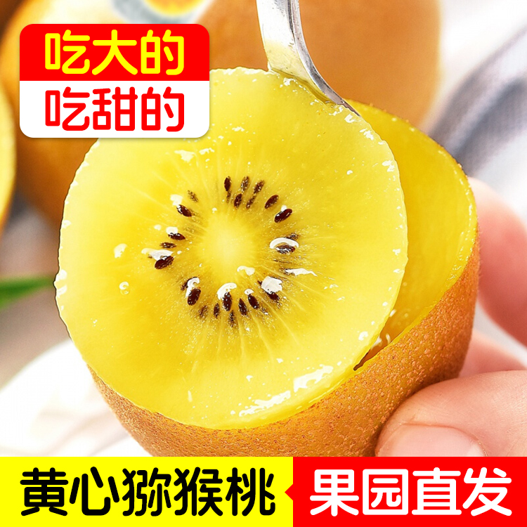 国产四川蒲江黄金黄芯猕猴桃大果新鲜黄心猕猴桃奇异果孕妇水果