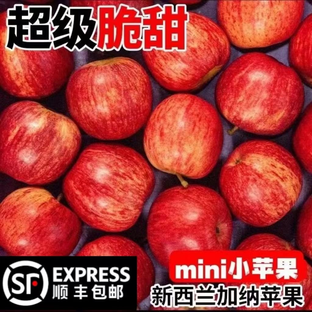 新西兰加力果大果高档进口嘎啦苹果gala果红玫瑰当季脆甜顺丰包邮