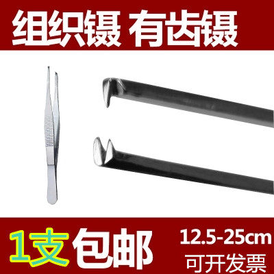 不锈钢带齿牙镊子组织