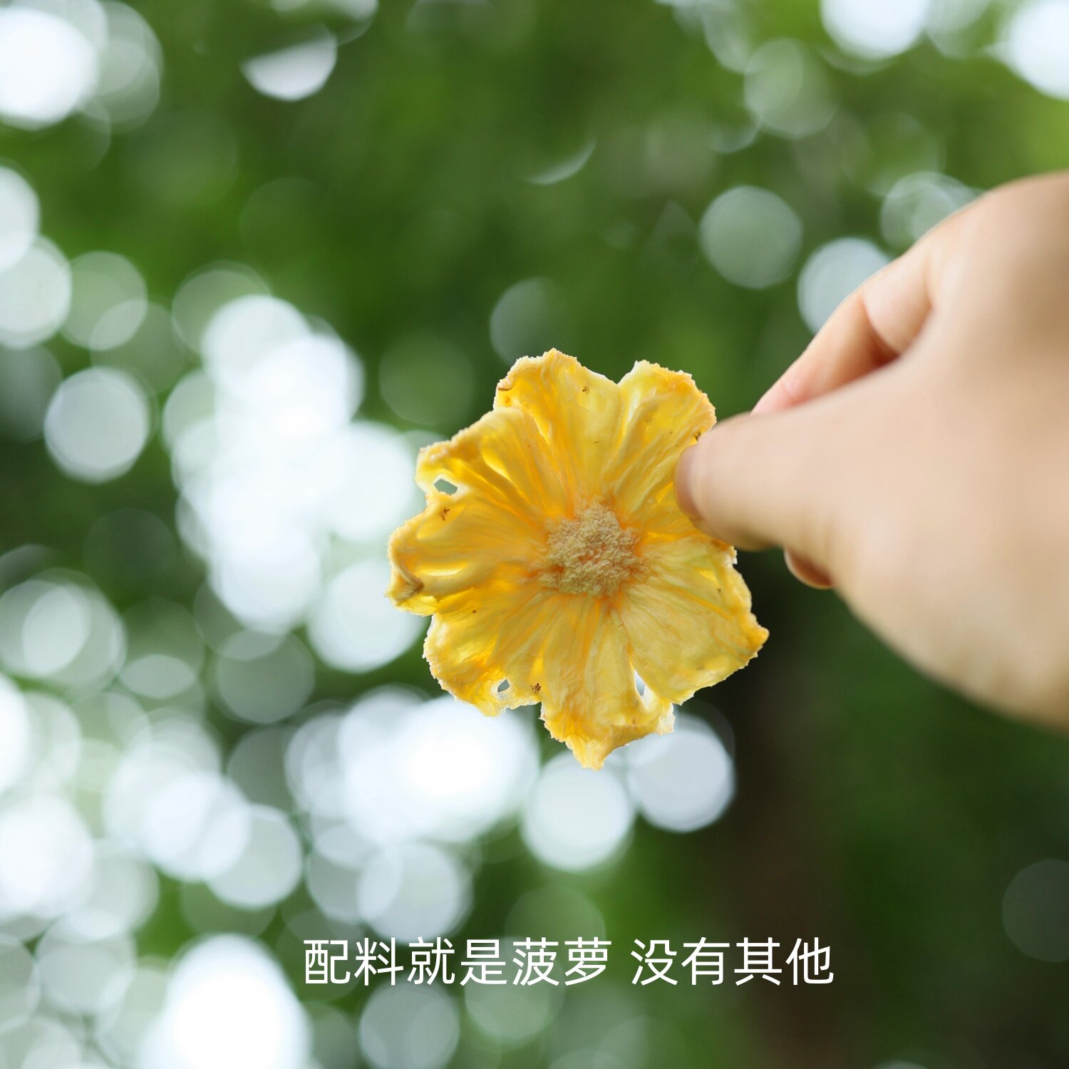 老饶家丨酸甜菠萝圈 配料仅菠萝 不额外加糖孕妇零食水果干菠萝干