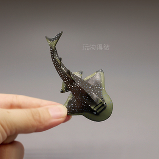 仿真海洋生物模型 小号犁头鳐鱼摆件 提琴鳐鱼类动物儿童认知玩具
