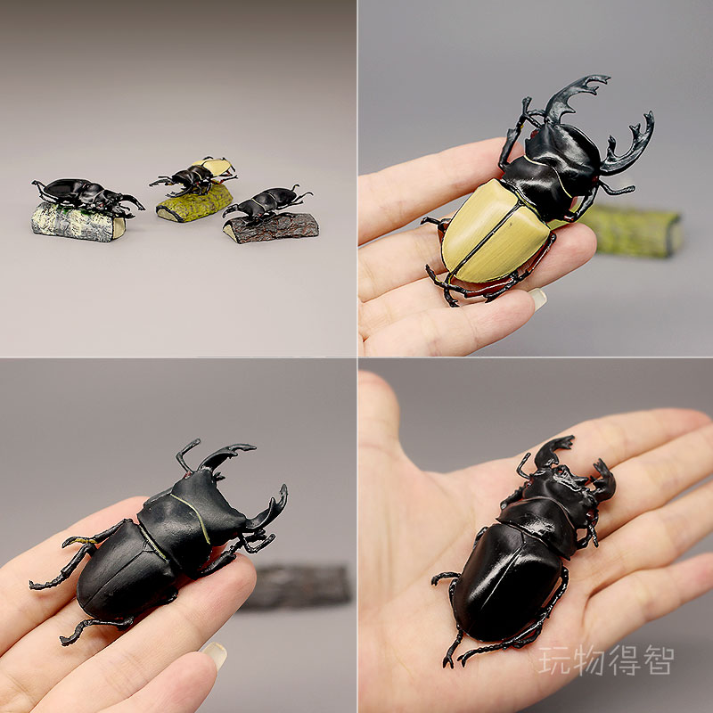 出口仿真锹甲虫模型 日本大锹形虫 昆虫摆件 儿童认知动物玩具