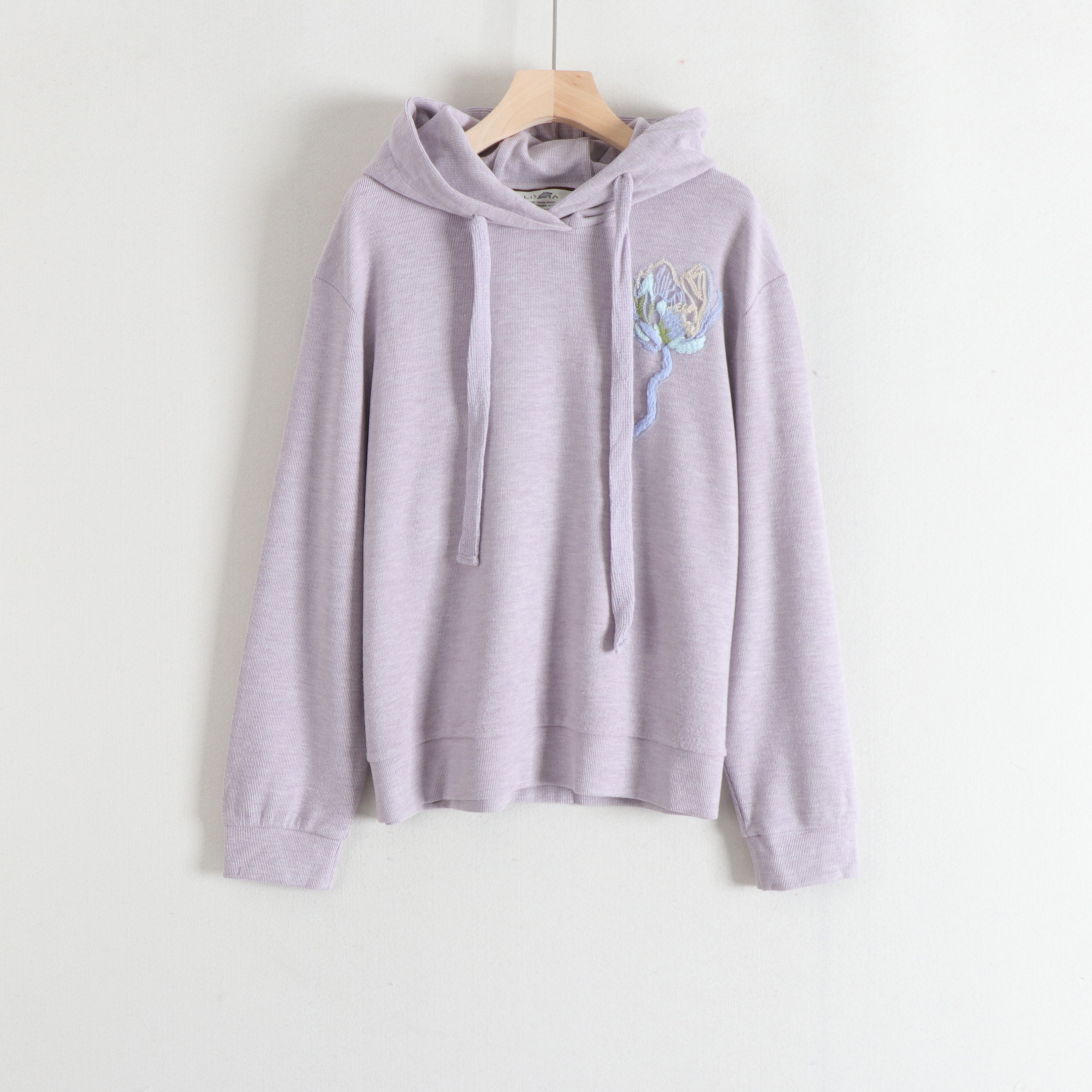 丽系列重工刺绣简约百搭减龄连帽宽松显瘦卫衣女25秋冬装新款撤柜