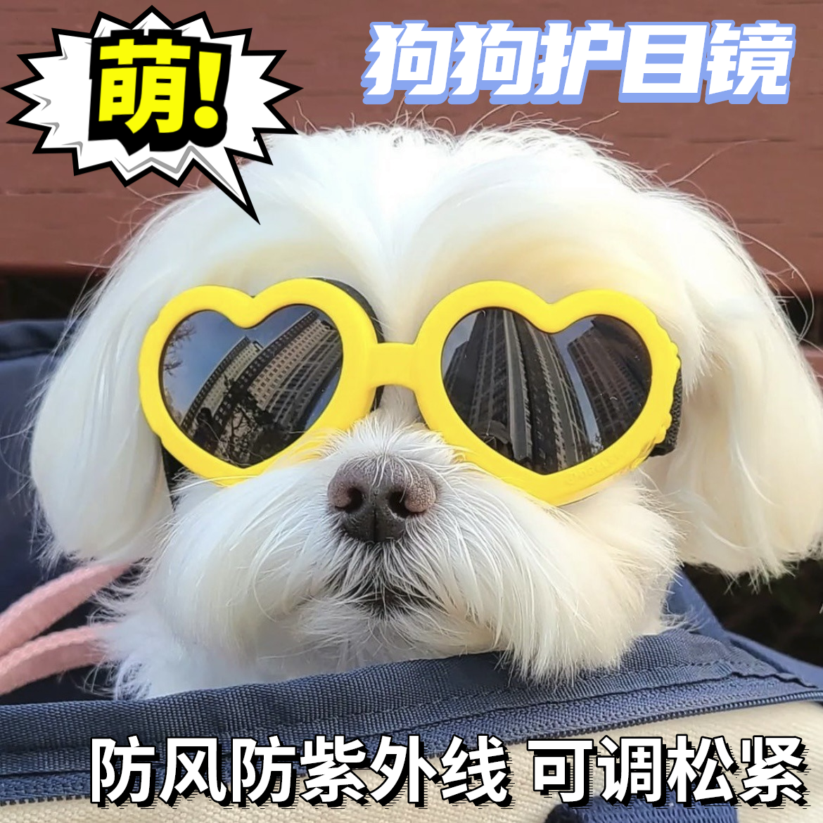 狗狗猫咪护目镜防紫外线防风