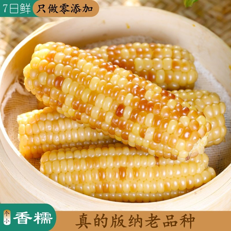 西双版纳老品种香糯小玉米新鲜现做早餐代餐2斤/4斤/5斤/9斤
