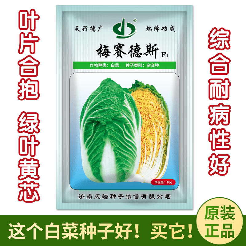 天瑞黄心白菜种籽高产厂家直销