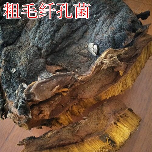 真菌毛纤黄褐500克包邮野生灵芝